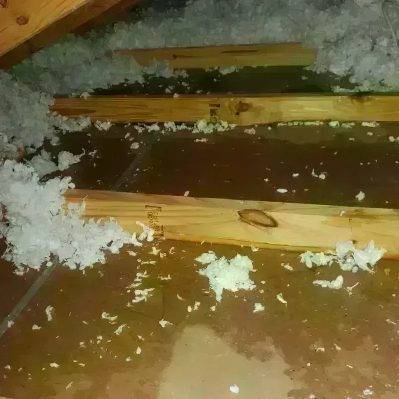 Attic Water Damage in Salida, CA